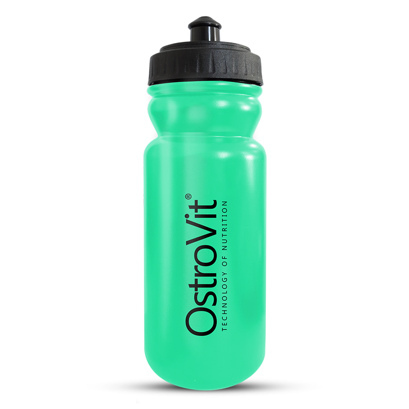 Gourde 600ml