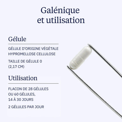 Complexe Probiotiques : Probio4