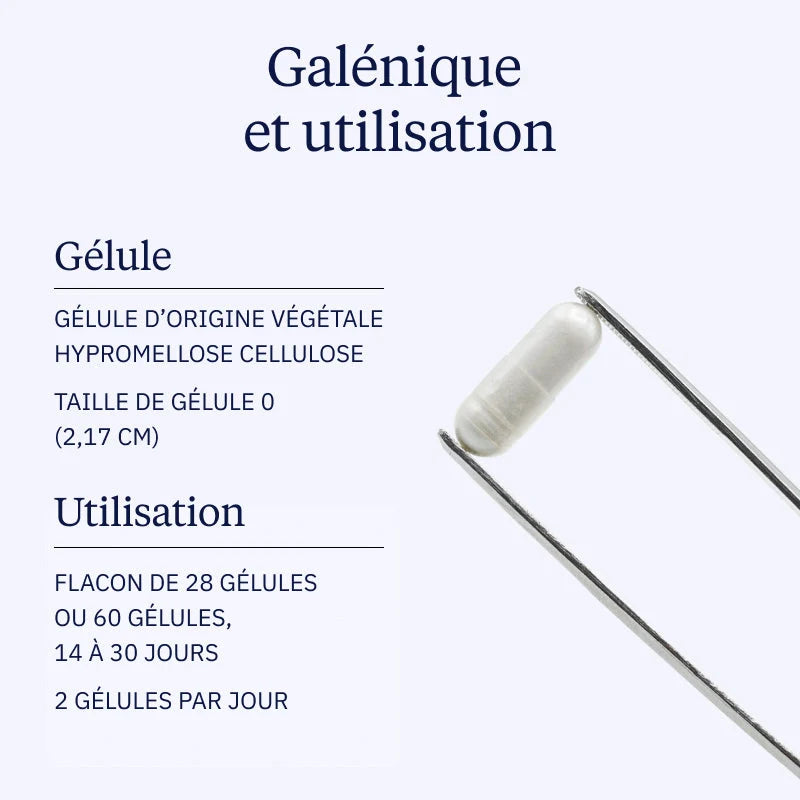 Complexe Probiotiques : Probio4