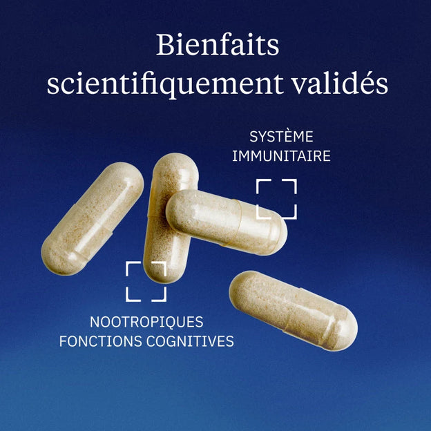Vitamine B6 Active P5P